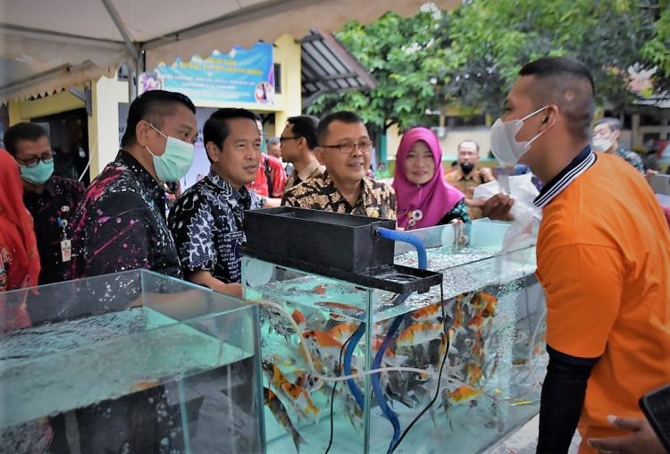 Pameran Ikan Hias Warnai Hari Jadi Ke Kabupaten Tegal Sekretariat