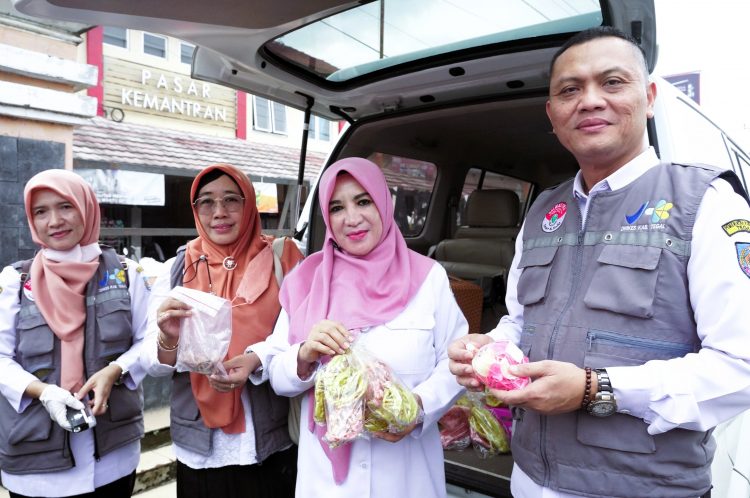 Sidak Pangan Temukan Kandungan Formalin dan Pewarna Tekstil pada Bahan Makanan