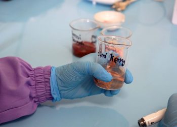 Sidak Pangan Kembali Temukan Cumi Kering Berformalin