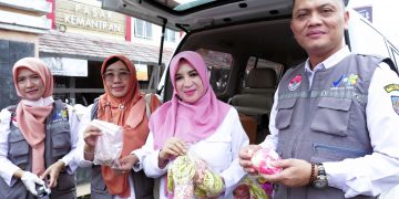 Sidak Pangan Temukan Kandungan Formalin dan Pewarna Tekstil pada Bahan Makanan