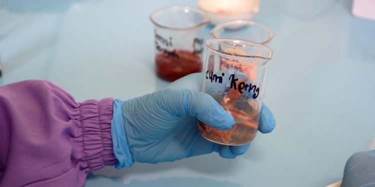 Sidak Pangan Kembali Temukan Cumi Kering Berformalin