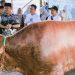 Sapi Kurban dari Presiden Prabowo Diterima Warga Desa Prupuk Selatan