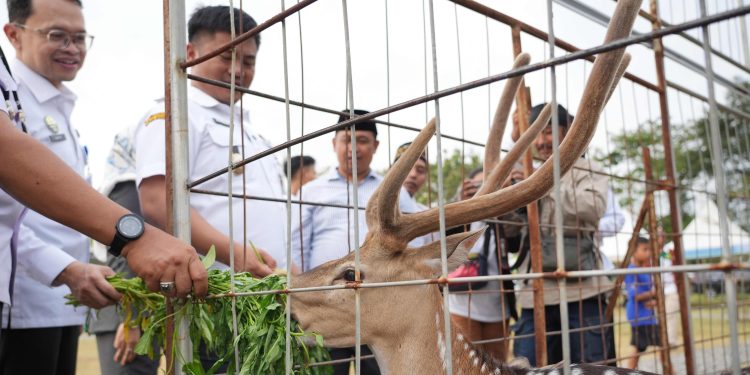 Gratis Masuk Lokawisata Sabin Garden Kambangan, Punya Koleksi Binatang