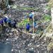 Bersih-bersih Sungai World Cleanup Day Kabupaten Tegal
