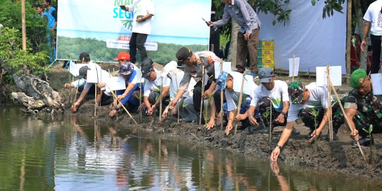 Cegah Abrasi, 8.000 Pohon Ditanam di Ekosistem Mangrove