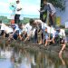 Cegah Abrasi, 8.000 Pohon Ditanam di Ekosistem Mangrove