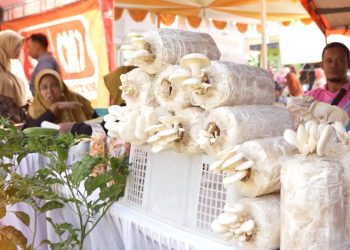 Kubis dan Sawi Ludes Diserbu Emak-emak Pengunjung Pasar Tani 2025