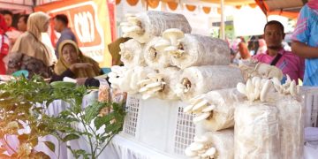 Kubis dan Sawi Ludes Diserbu Emak-emak Pengunjung Pasar Tani 2025