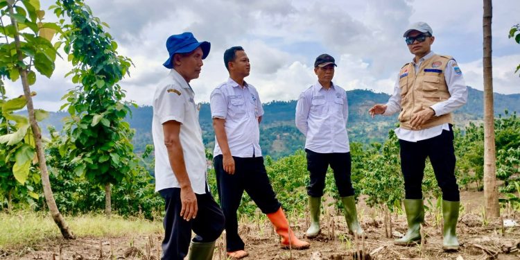 Sekda Amir Tinjau Lokasi Huntara Korban Tanah Bergerak Padasari, Tunggu Rekomendasi Geologi